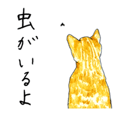 brown tabby cat koto-chan part2 sticker #536522