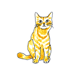 brown tabby cat koto-chan part2 sticker #536523