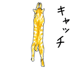 brown tabby cat koto-chan part2 sticker #536524
