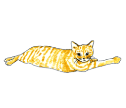 brown tabby cat koto-chan part2 sticker #536529