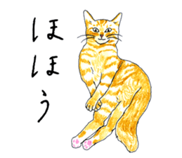 brown tabby cat koto-chan part2 sticker #536531