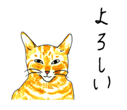 brown tabby cat koto-chan part2 sticker #536532