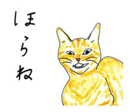 brown tabby cat koto-chan part2 sticker #536533