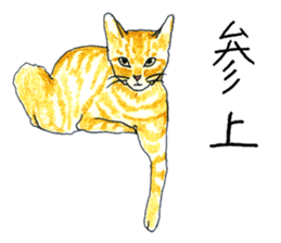 brown tabby cat koto-chan part2 sticker #536535