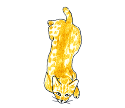 brown tabby cat koto-chan part2 sticker #536536