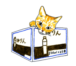 brown tabby cat koto-chan part2 sticker #536537