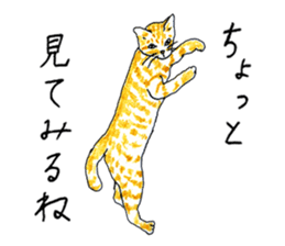 brown tabby cat koto-chan part2 sticker #536538
