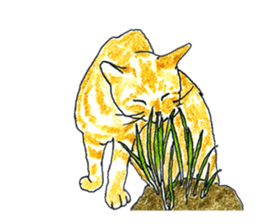 brown tabby cat koto-chan part2 sticker #536540