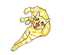 brown tabby cat koto-chan part2 sticker #536541