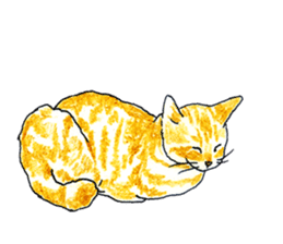 brown tabby cat koto-chan part2 sticker #536543