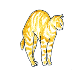 brown tabby cat koto-chan part2 sticker #536544