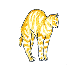 brown tabby cat koto-chan part2 sticker #536544