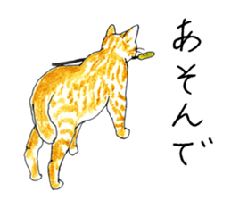 brown tabby cat koto-chan part2 sticker #536545