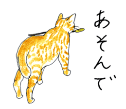 brown tabby cat koto-chan part2 sticker #536545