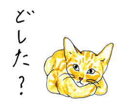 brown tabby cat koto-chan part2 sticker #536547