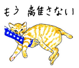 brown tabby cat koto-chan part2 sticker #536549