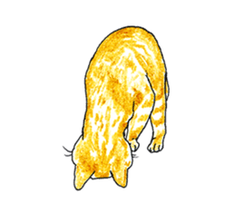 brown tabby cat koto-chan part2 sticker #536550