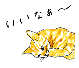 brown tabby cat koto-chan part2 sticker #536551