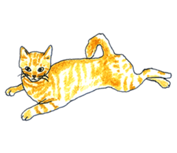 brown tabby cat koto-chan part2 sticker #536552