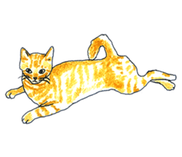 brown tabby cat koto-chan part2 sticker #536552