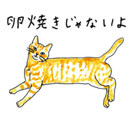 brown tabby cat koto-chan part2 sticker #536553