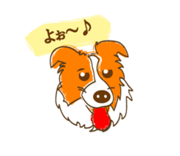 Of "ora-cham"dog "accent" sticker #536634