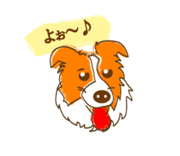 Of "ora-cham"dog "accent" sticker #536634