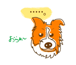 Of "ora-cham"dog "accent" sticker #536637
