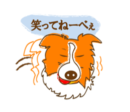 Of "ora-cham"dog "accent" sticker #536639