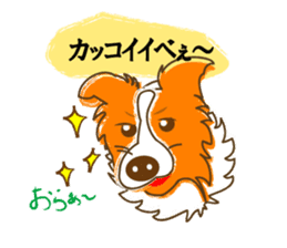 Of "ora-cham"dog "accent" sticker #536643