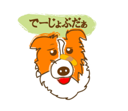 Of "ora-cham"dog "accent" sticker #536646