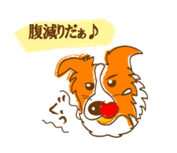 Of "ora-cham"dog "accent" sticker #536647