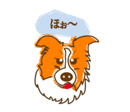 Of "ora-cham"dog "accent" sticker #536651