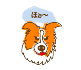 Of "ora-cham"dog "accent" sticker #536651