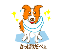 Of "ora-cham"dog "accent" sticker #536657