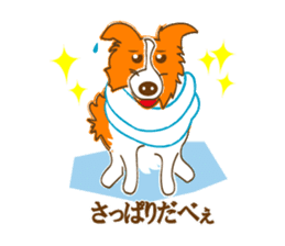 Of "ora-cham"dog "accent" sticker #536657