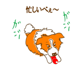 Of "ora-cham"dog "accent" sticker #536663