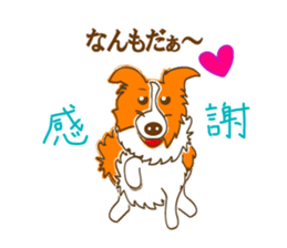 Of "ora-cham"dog "accent" sticker #536672