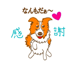 Of "ora-cham"dog "accent" sticker #536672