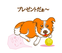 Of "ora-cham"dog "accent" sticker #536673