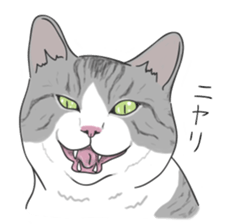 The Cute Cat sticker #538034