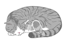 The Cute Cat sticker #538037