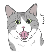 The Cute Cat sticker #538038