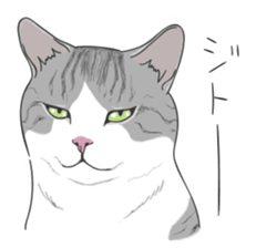 The Cute Cat sticker #538039