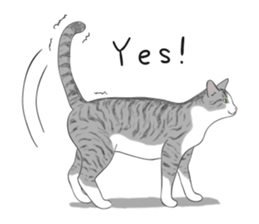 The Cute Cat sticker #538040