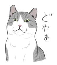 The Cute Cat sticker #538042