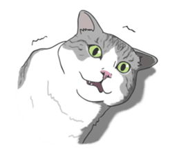 The Cute Cat sticker #538045