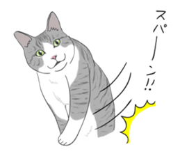 The Cute Cat sticker #538046