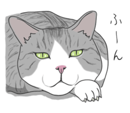 The Cute Cat sticker #538047