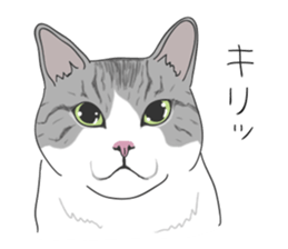 The Cute Cat sticker #538048